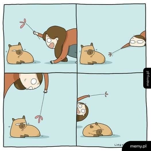 Kiedy próbujesz bawić się z kotem