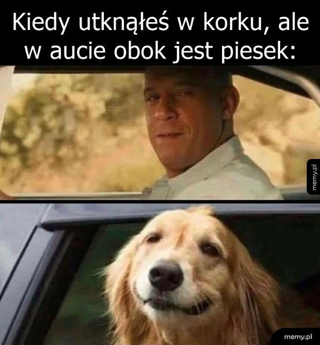 Nie jest tak źle