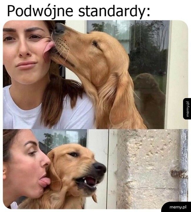 Podwójne standardy