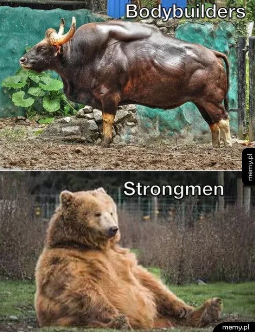 Bodybuilders vs Strongmen