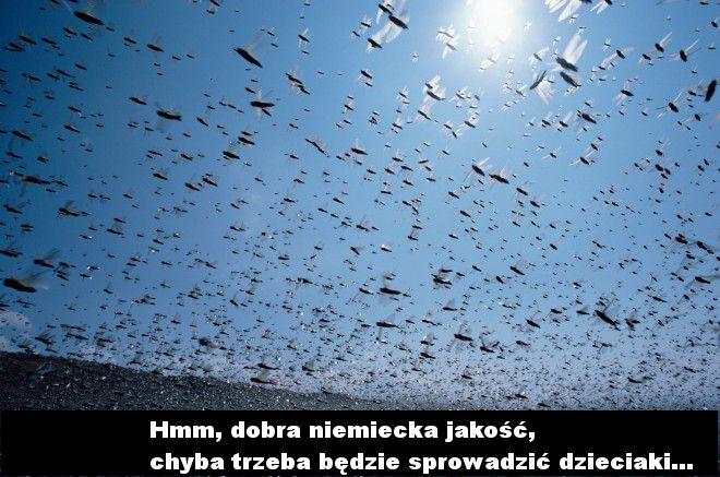 Wiosna idzie