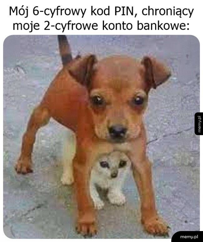 Ostrożności nigdy za wiele