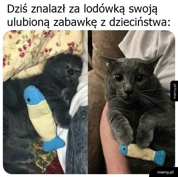 Ulubiona zabawka z dzieciństwa