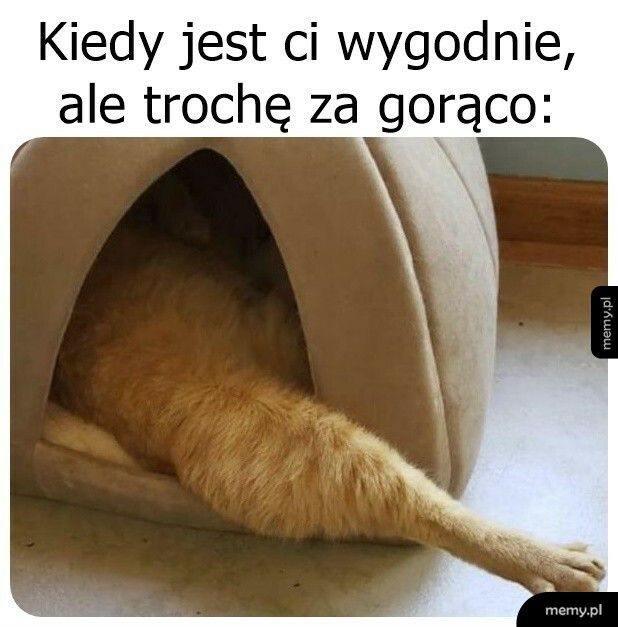 Tryb chłodzenia aktywowany