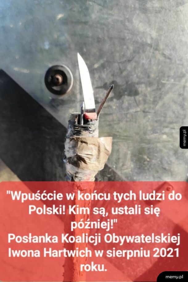 Madki z dziećmi atakujo polskich strażników!