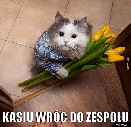 Kasiu wróc do zespołu