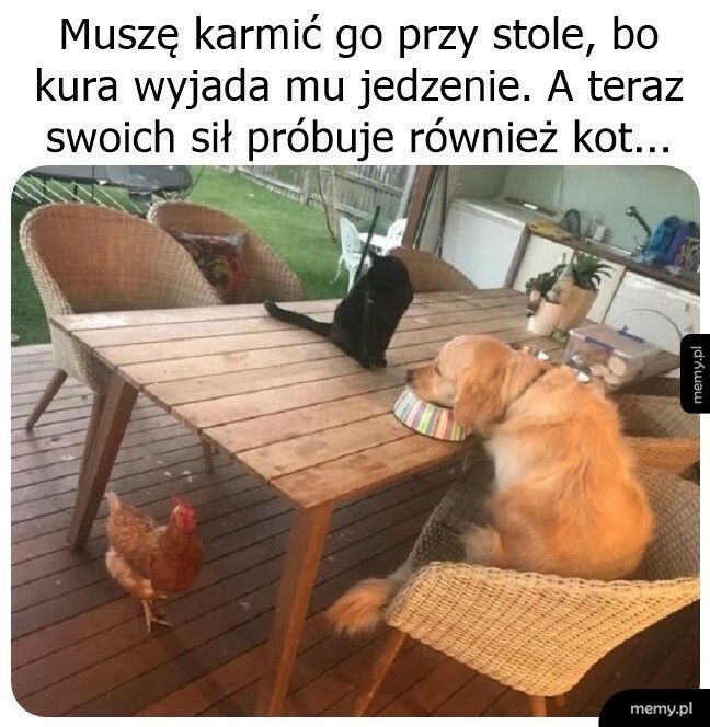 Chętnych nie brakuje