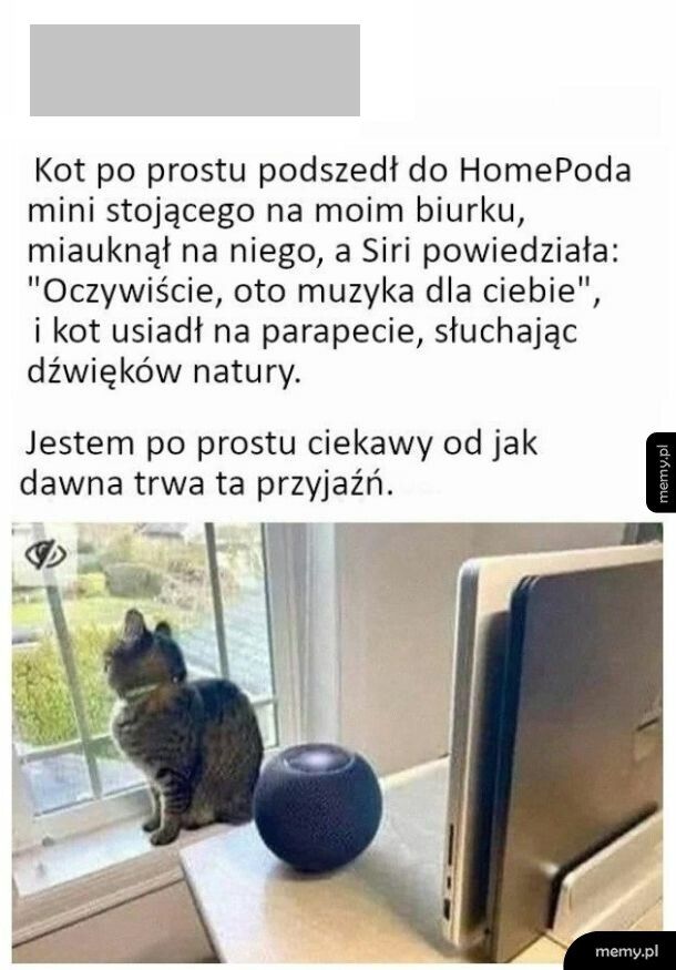 Przyjaźń