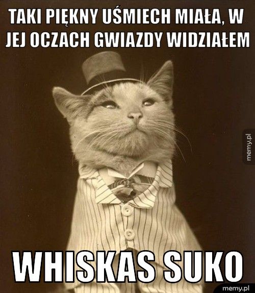 Taki piękny uśmiech miała, w jej oczach gwiazdy widziałem whiskas suko