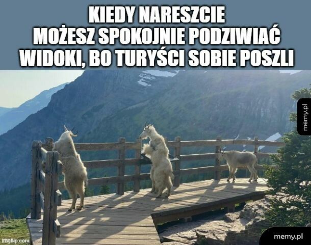 W końcu spokój