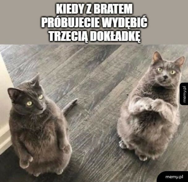 Trzecia dokładka