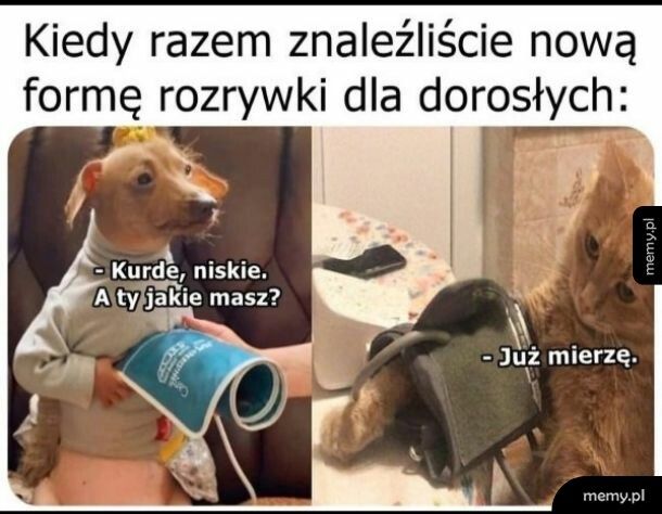 Staroś nie radoś