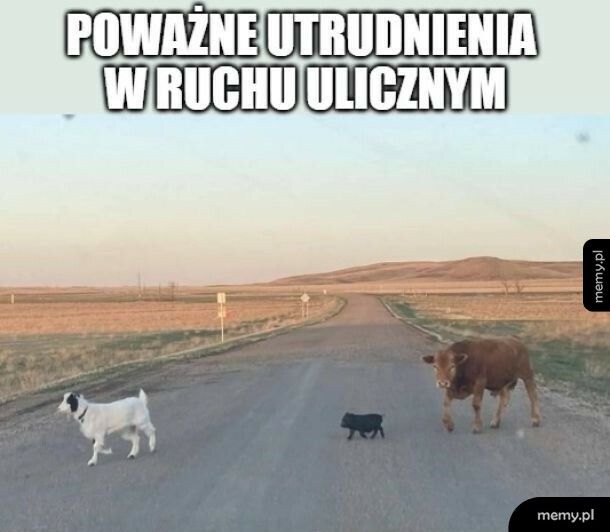 Poważne utrudnienia