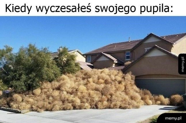 Trochę tego jest