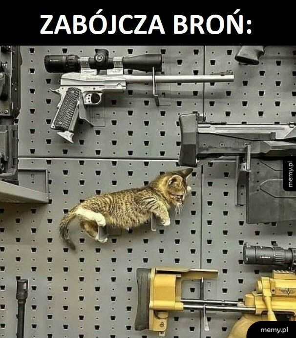 Zabójcza broń