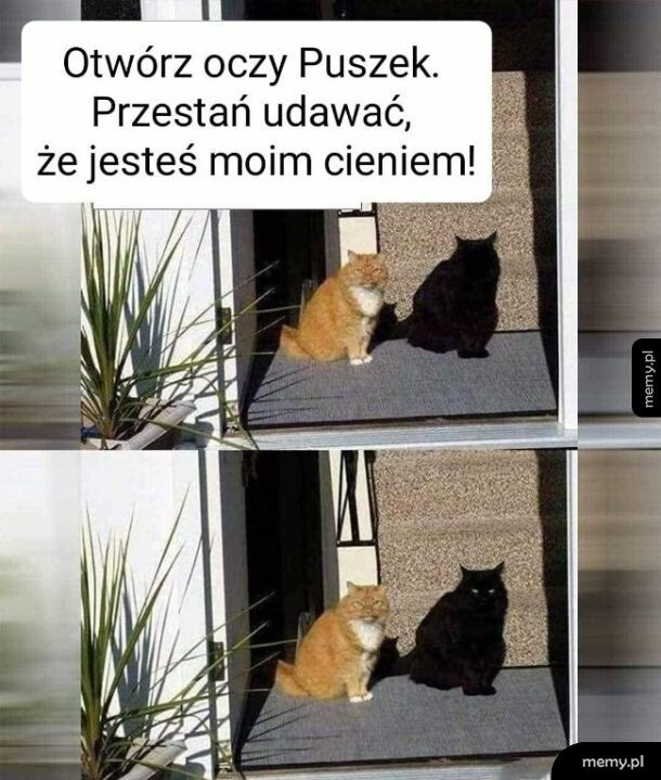 Cień