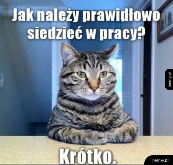 Praca