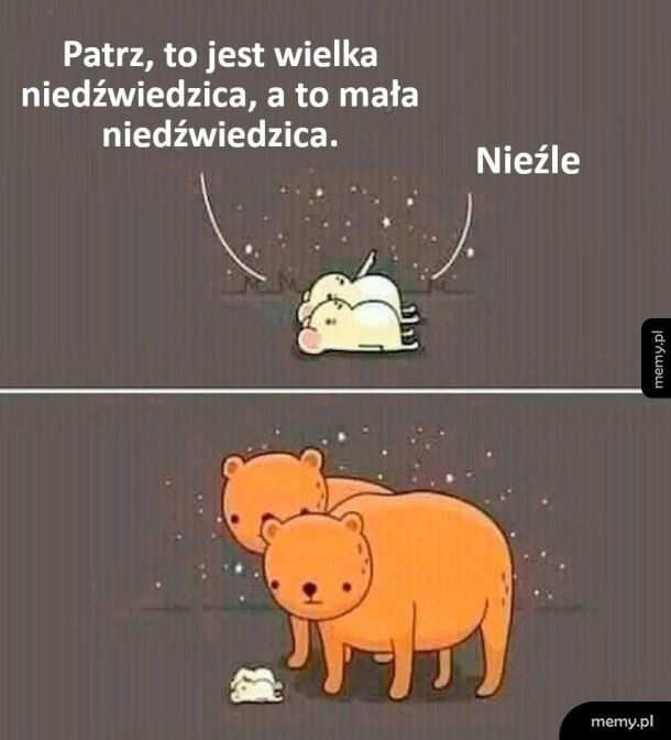 Niedźwiedzice