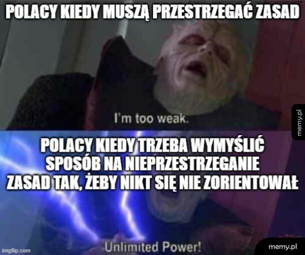 Kombinacja norwes... polska