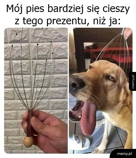 Nie da się ukryć