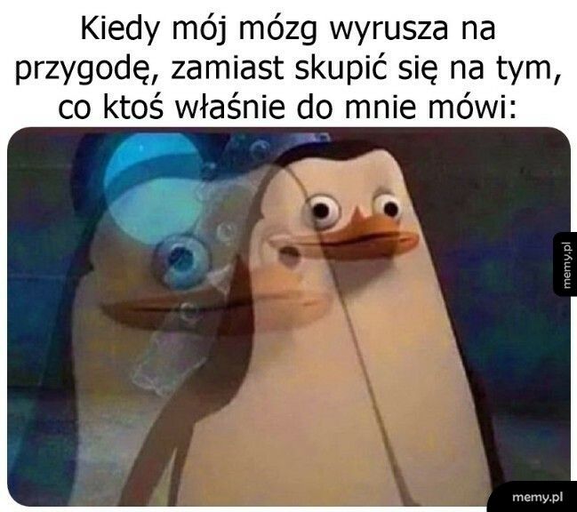 Możesz powtórzyć?