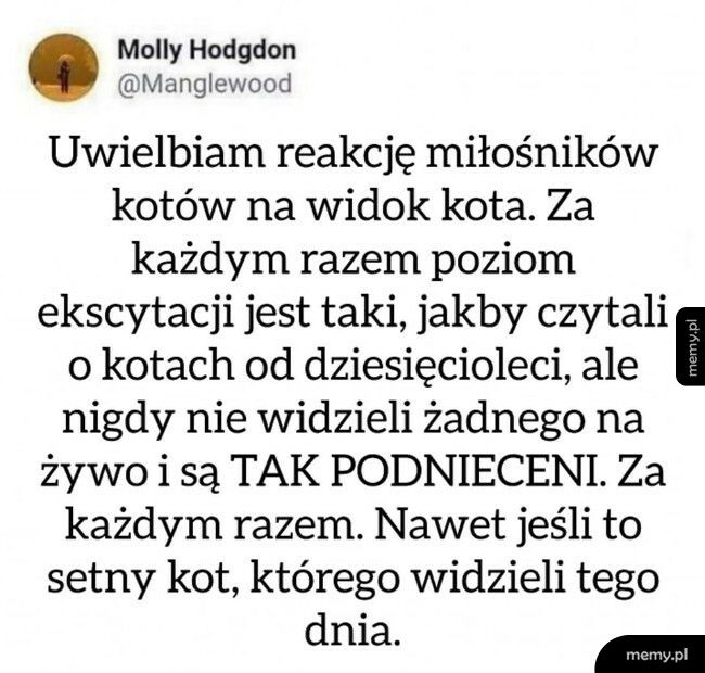 Miłośnicy kotów