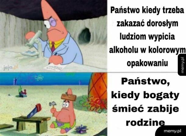 Państwo z kartonu