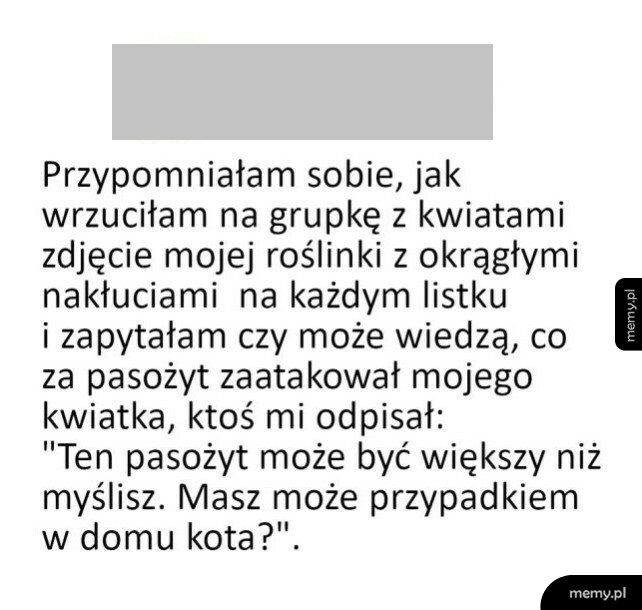 Dziwny pasożyt w domu