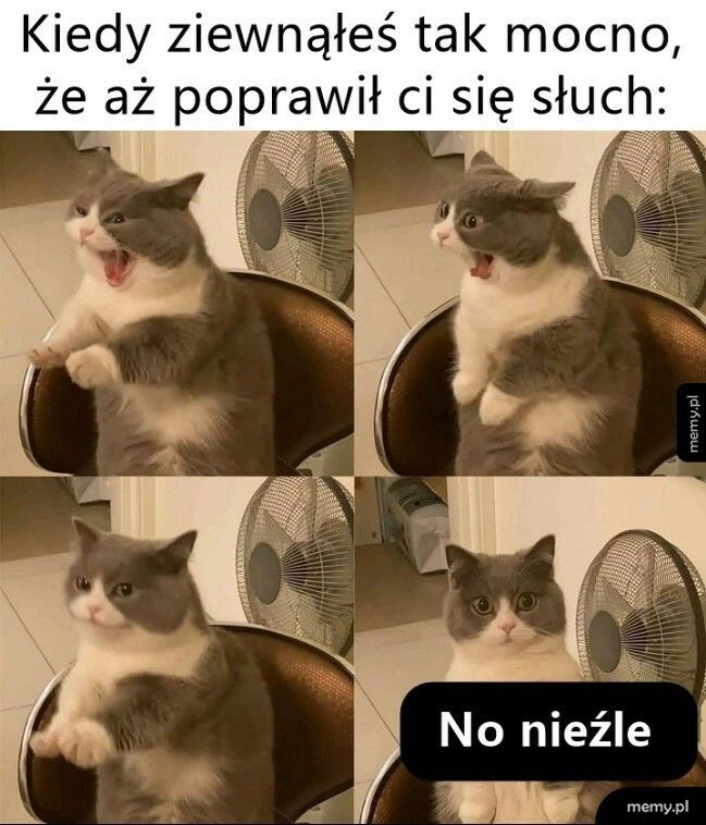 Co za różnica