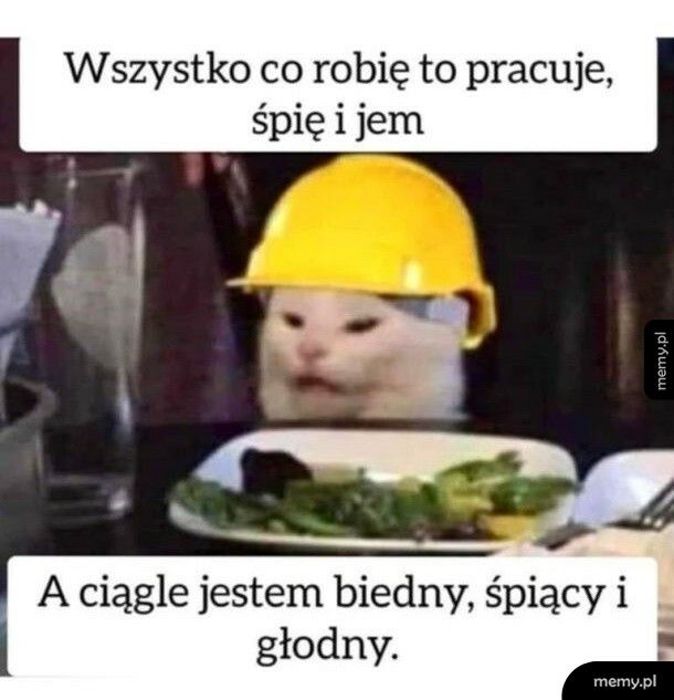 Życie