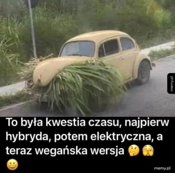 Było do przewidzenia