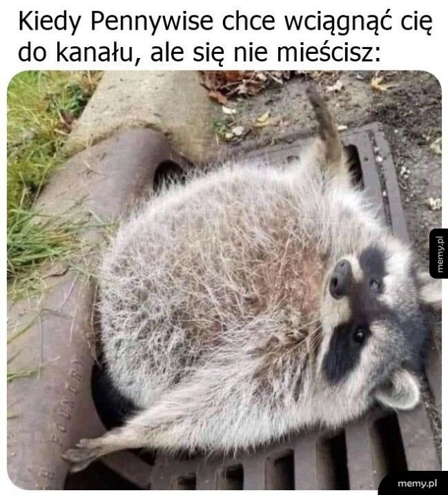 Tłuszczyk na coś się przydał