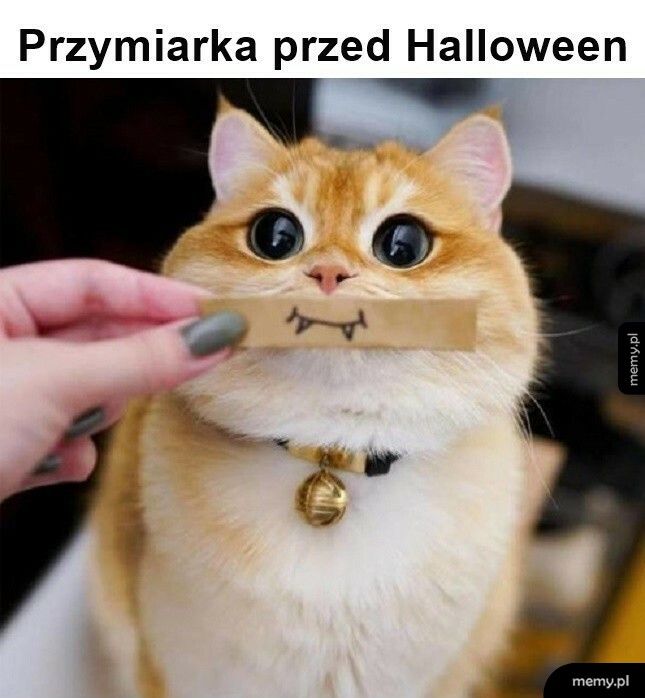 Przymiarka