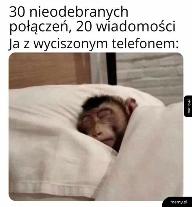 I wszyscy już myślą, że coś się stało