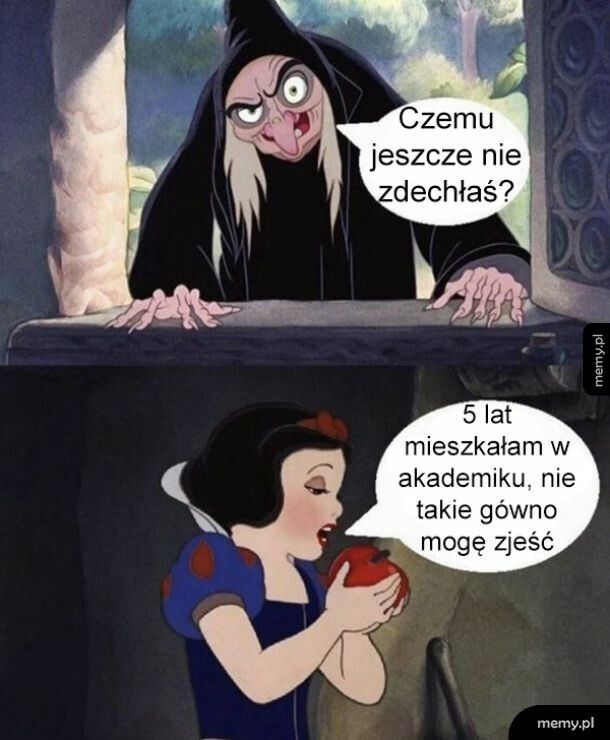 Mieszkanie w akademiku