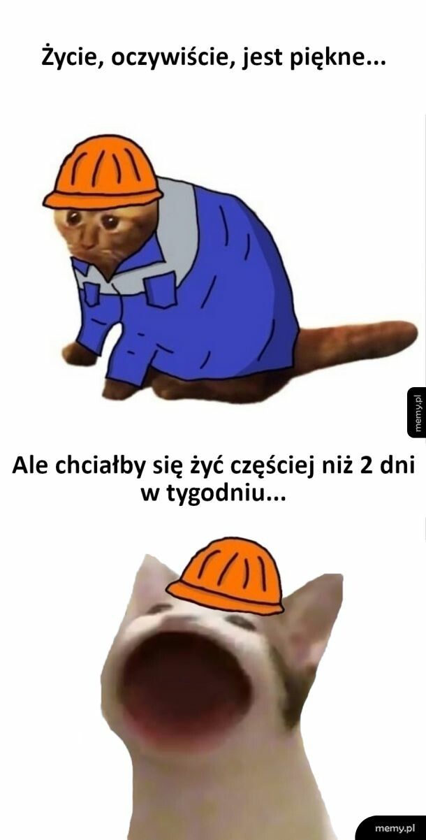 Życie jest piękne