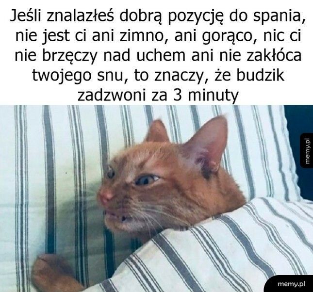 To oznacza tylko jedno