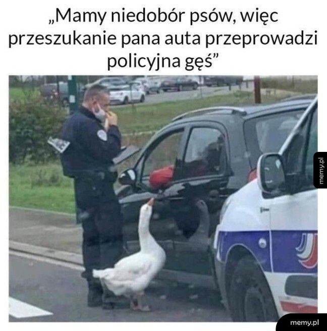 Niestandardowa kontrola