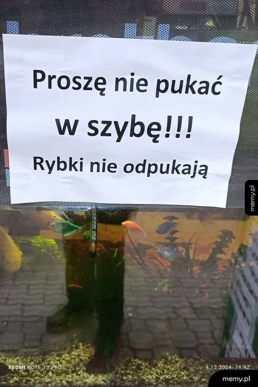 Rybki nie odpukają