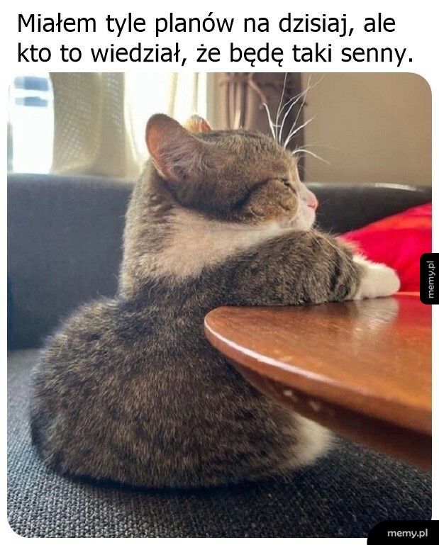 Siła wyższa, nic nie poradzisz