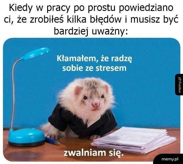 No i się człowiek zestresował