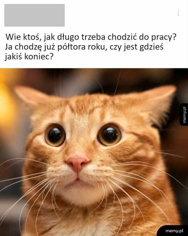 Aż po grób