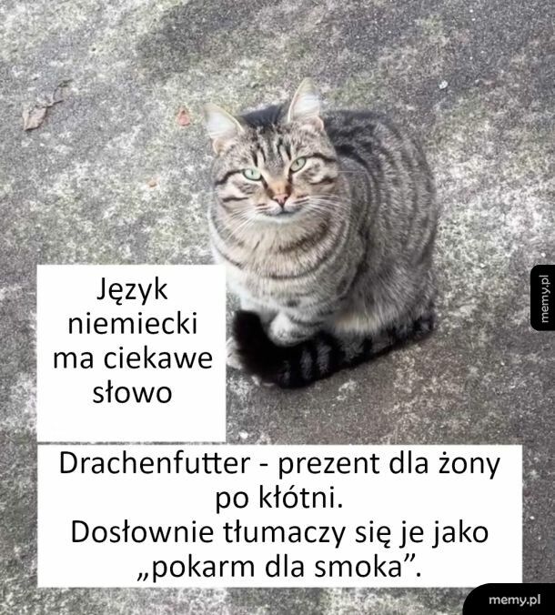 Ciekawe niemiecki słowo