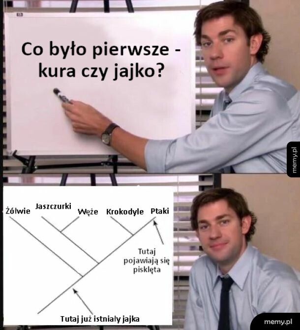 Co było pierwsze - kura czy jajko?