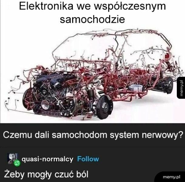 System nerwowy samochodu