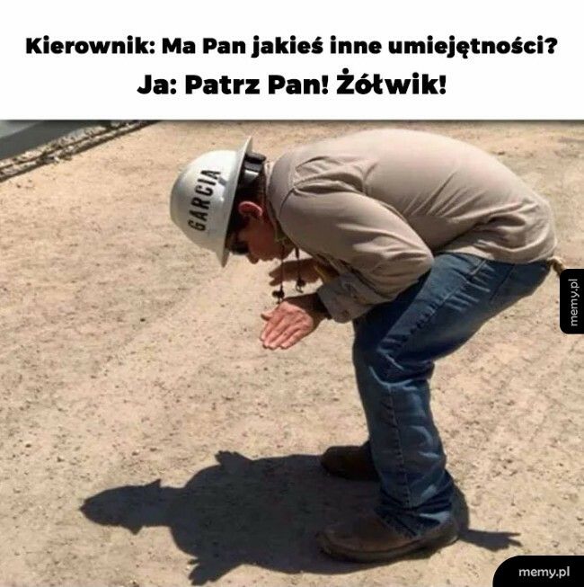 Żółwik