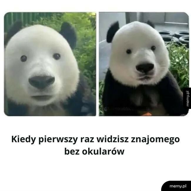 Zanjomy bez okularów