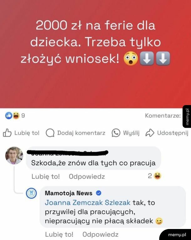 No szkoda