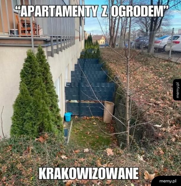 W Gdańsku też takie widziałam