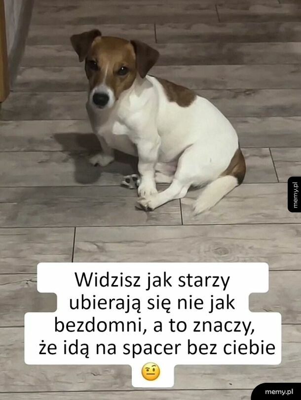 Kiedy idą na spacer bez pieska